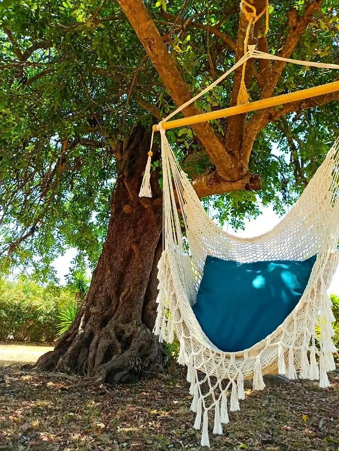 לינה וארוחת בוקר מונקאראפאצ'ו Quinta Pereiro Tropic Garden, Algarve