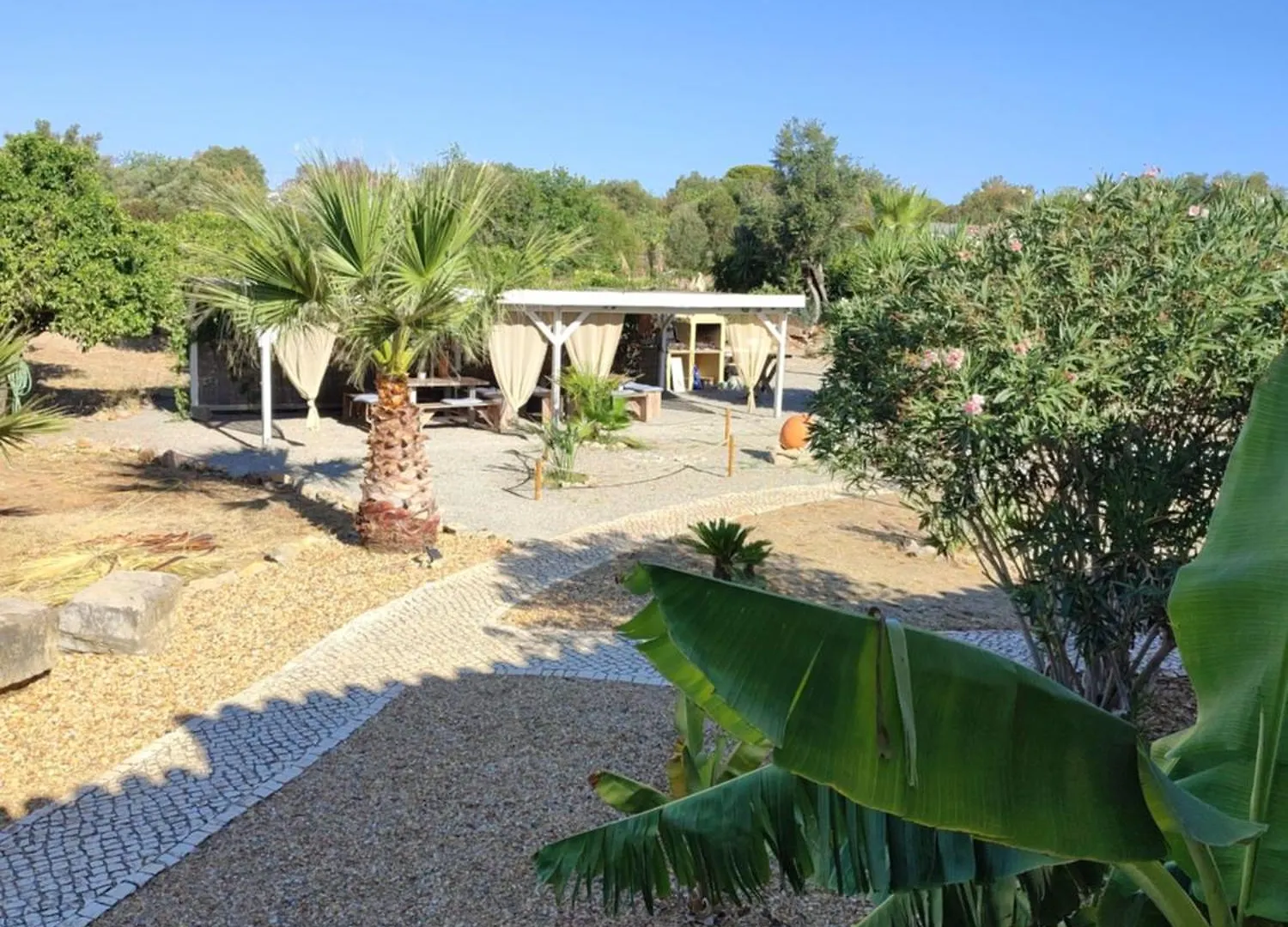 לינה וארוחת בוקר מונקאראפאצ'ו Quinta Pereiro Tropic Garden, Algarve